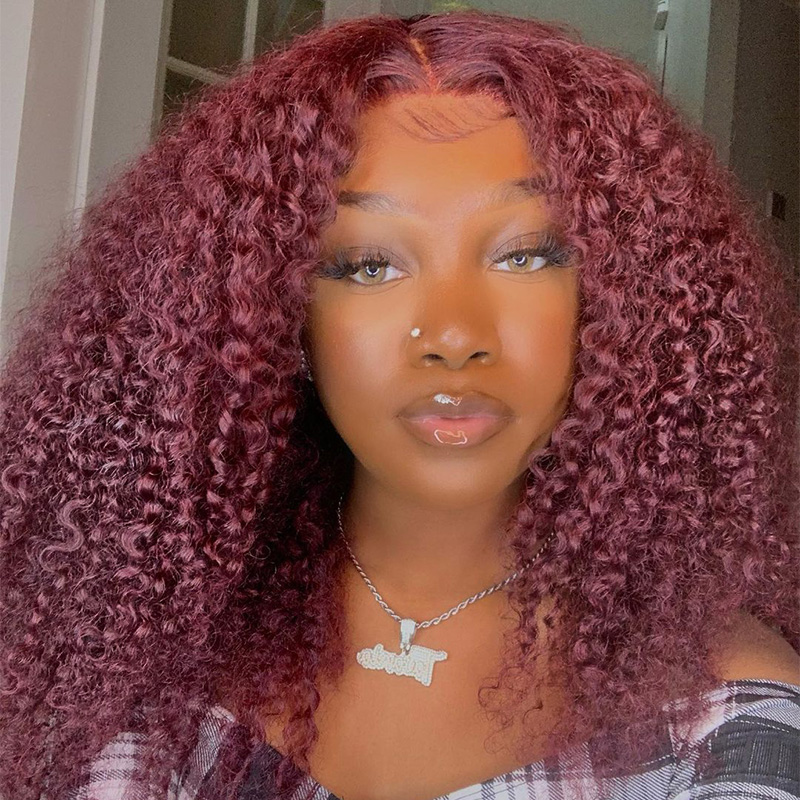 99J 26 Inch Curly Lace Front Wig