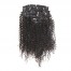 ISEEHAIR Kinky Curly Clip Ins Hair Extensions 100% Human Hair Natural Black Color