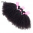 ISEE HAIR 10A Grade 100% Human Virgin Hair Afro Curly Bundles with Frontal Deal