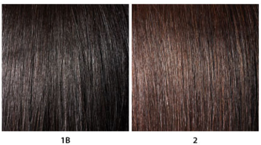 1b hair vs 2 hair color