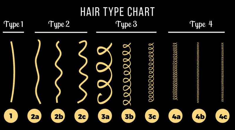 hair type chart